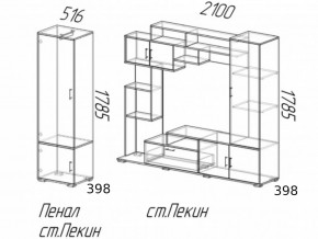 Гостиная Пекин с пеналом Ясень Шимо в Новотроицке - novotroick.magazinmebel.ru | фото - изображение 2