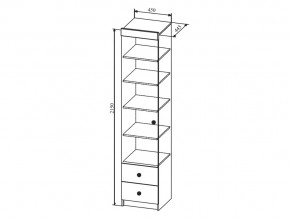 Шкаф Сканди ШД450.1 в Новотроицке - novotroick.magazinmebel.ru | фото - изображение 2